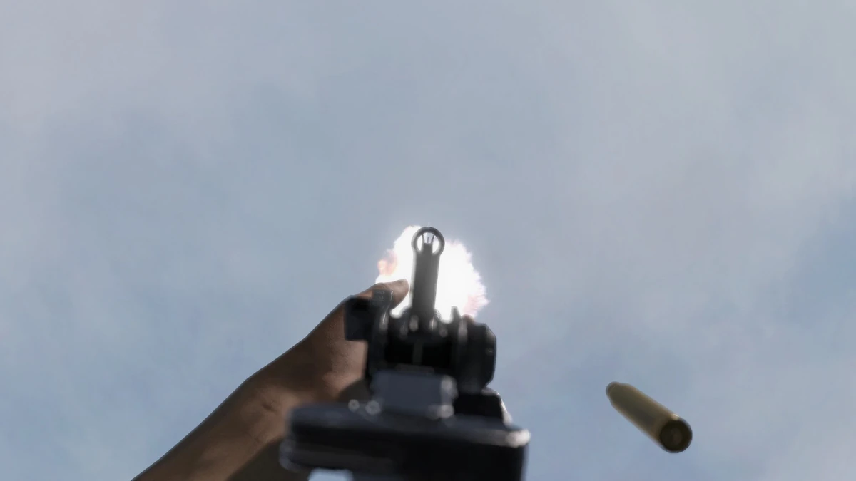 Backup Iron Sights DayZ Wiki
