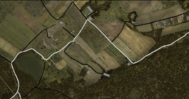 NewFields map