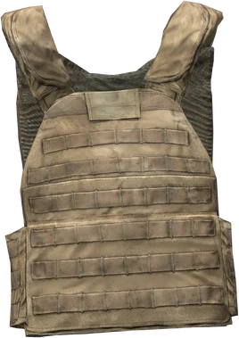 PlateCarrierVest