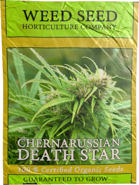 Cannabis Seeds