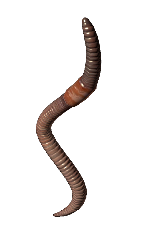 Earthworm - DayZ Wiki