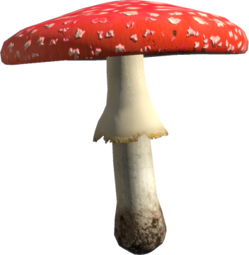 Amanita