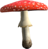 Amanita.png