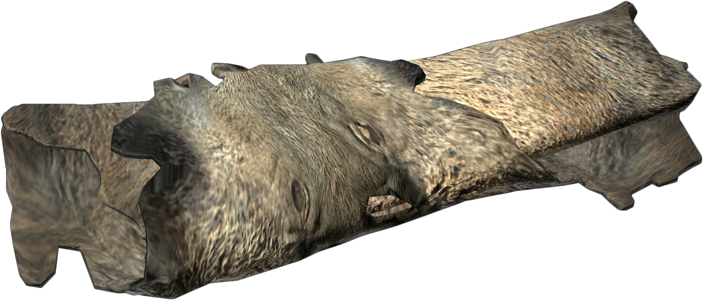 Boar Pelt