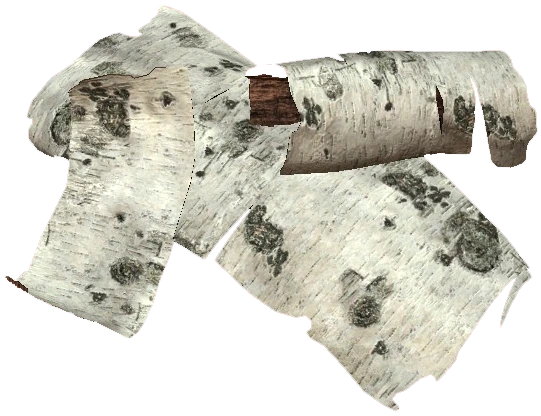 Light Bark