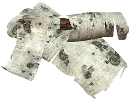 BirchBark