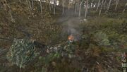 Soldier.jpg