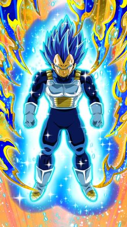 Accepted Pride Super Saiyan God SS Evolved Vegeta Dokfan Battle