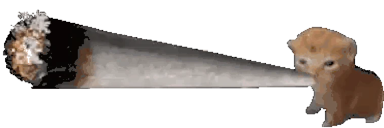 mqEz