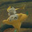 Fanpun's avatar