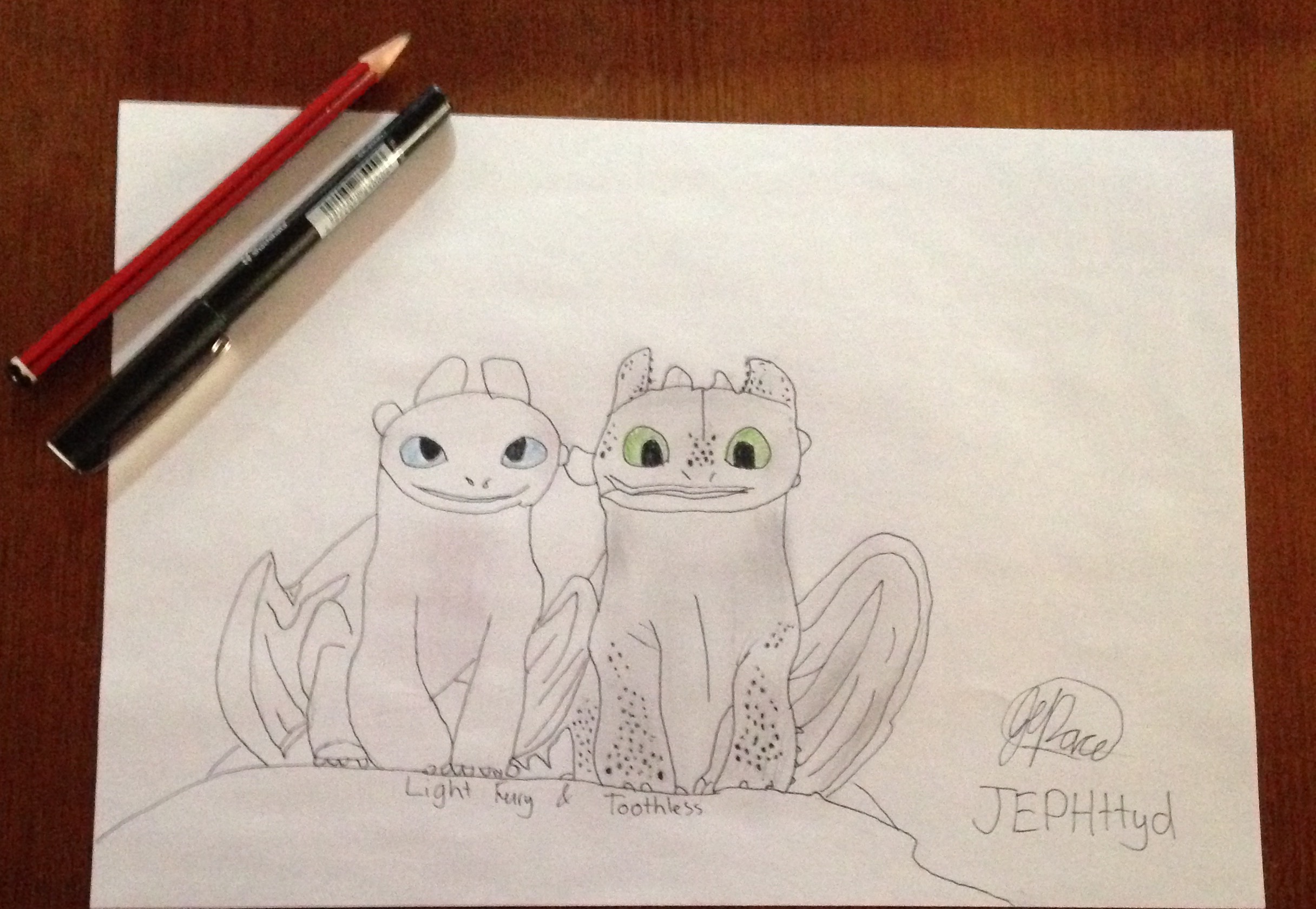 Toothless And Light Fury Drawing More In Comments Fandom