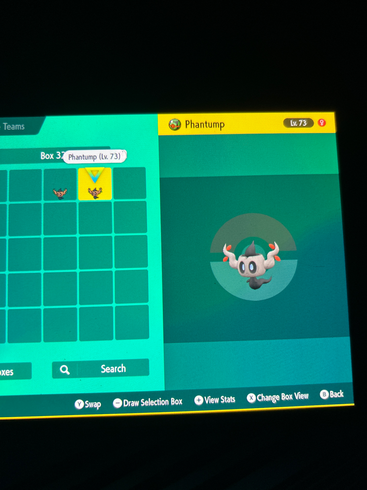 After a few hours of breeding I managed to get myself a shiny Mimikyu! :  r/PokemonSwordAndShield