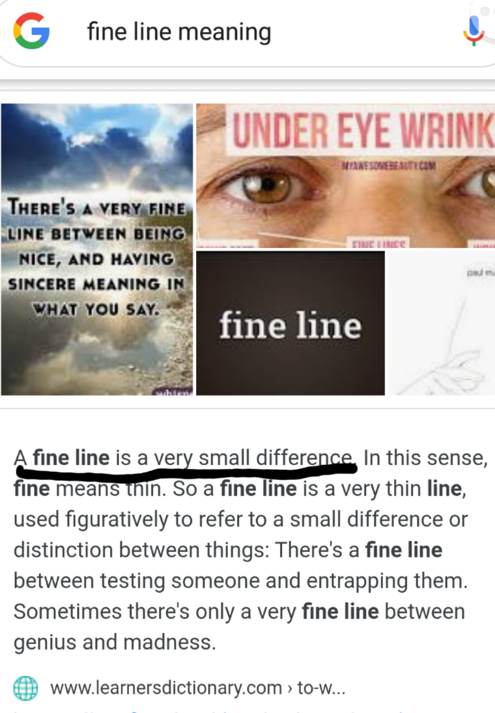 Meaning Of Fine Line Fandom