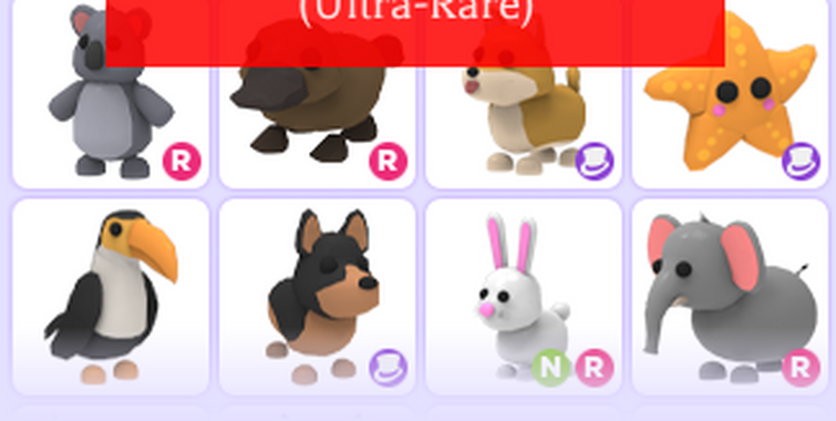 Meerkat, Trade Roblox Adopt Me Items