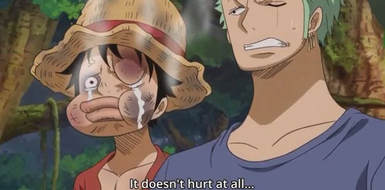 One Piece ~ Luffy tries to cheer Sick Nami up 