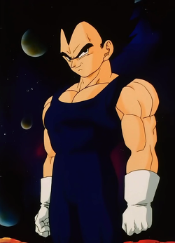 Vegeta (OC), Character Level Wiki