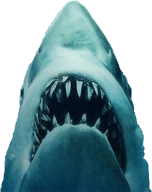 Bruce (Jaws) | DBX Fanon Wikia | Fandom
