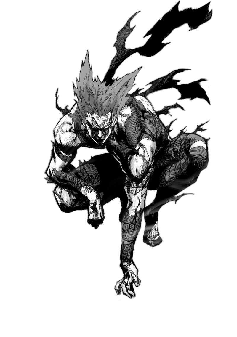 Garou, One-Punch Man Wiki