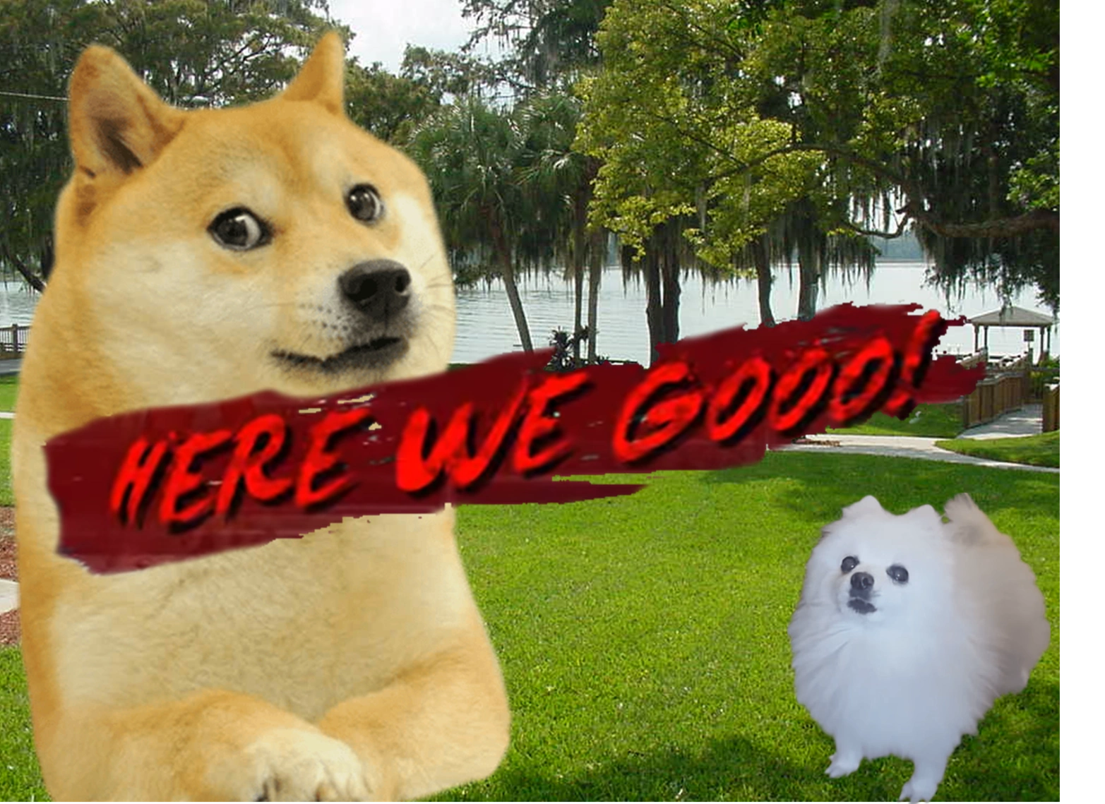 Doge VS Gabe the Dog | DBX Fanon Wikia | Fandom, image size:1565x1139