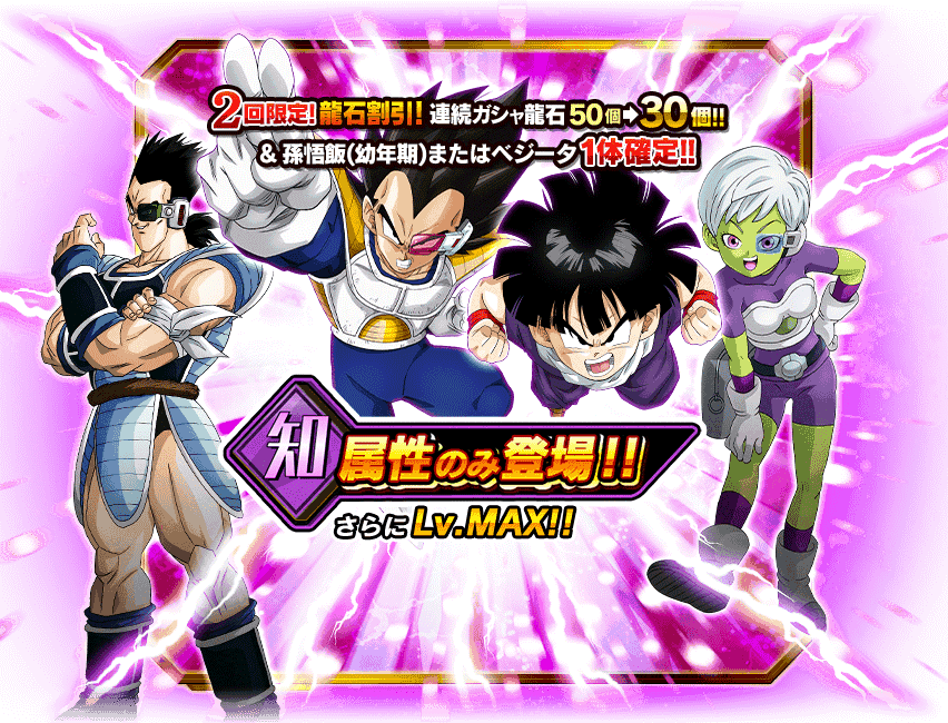 INT Character Exclusive Summon Dragon Ball Z Dokkan Battle Wiki