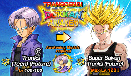 Protector of Future Peace Dragon Ball Z Dokkan Battle Wiki Fandom