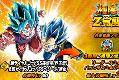 Awakening Medals West Kai Dragon Ball Z Dokkan Battle Wiki Fandom