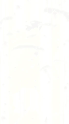 latest?cb=20250129160316