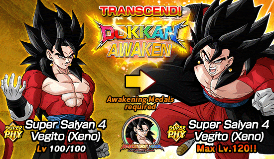 Dragon Ball Z Dokkan Battle Launches Legendary Summon! Witness the Legendary  Power of the Father-Son Defenders of Earth!!]