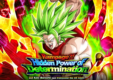 Quest top banner 593