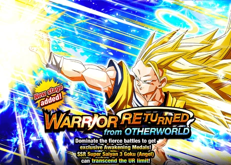 Quest top banner 528 3