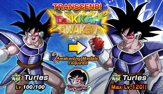 Sinister Destroyer of the Universe Dragon Ball Z Dokkan Battle