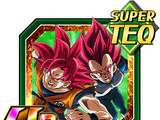 Transcending Aura Super Saiyan God Goku & Super Saiyan God Vegeta