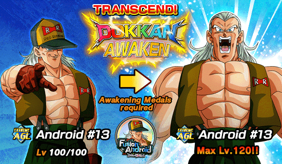 Fusion Android Born of Hatred Dragon Ball Z Dokkan Battle Wiki