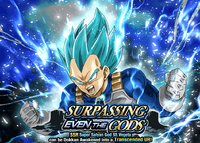 Quest top banner 524.png