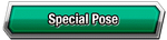 Special Pose Category