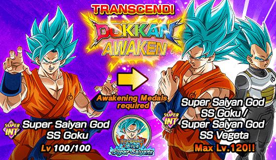Free: dokkanbattle [awakening Of Miracles] Super Saiyan - Goku