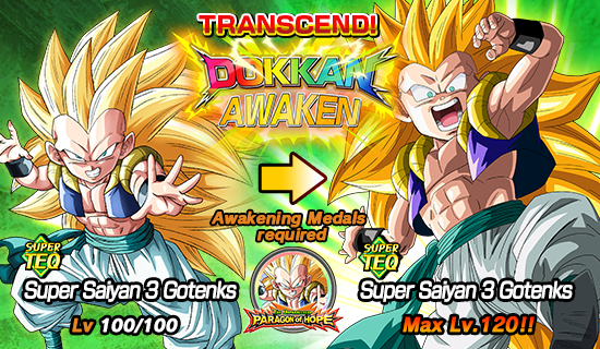 The Unparalleled Paragon of Hope | Dragon Ball Z Dokkan Battle Wiki ...