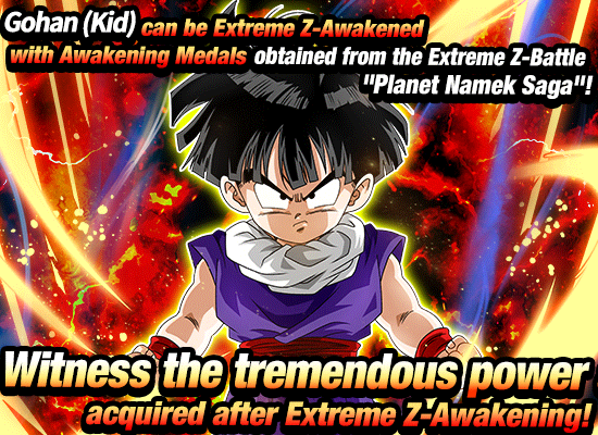 Fierce Battle for Planet Namek Discontinued Dragon Ball Z