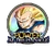 Ssj3VegetaMedal