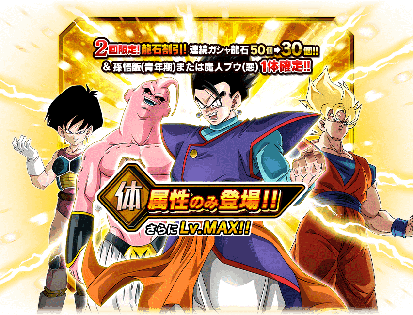 PHY Character Exclusive Summon Dragon Ball Z Dokkan Battle Wiki