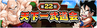 The 22nd JP WT