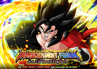 TranscendentFusionoftheUnknownFighters.png