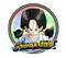Videl flight