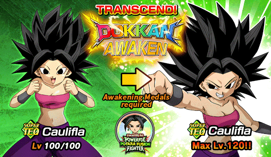Potara Fusion Made ME UNSTOPPABLE In This NEW Dragon Ball Update