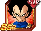Intense Training Completed Vegeta