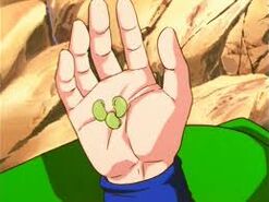 Goku holds senzu beanas