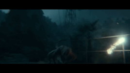GIF Cheetah