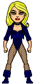 BlackCanary CA6