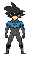NIGHTWINGDBZ.png (4 KB)