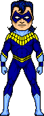 Nightwing00.gif (3 KB)